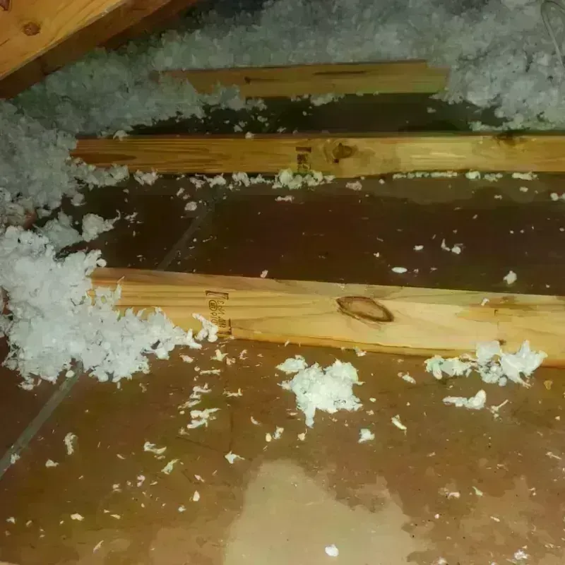 Attic Water Damage in Clarksville, TX