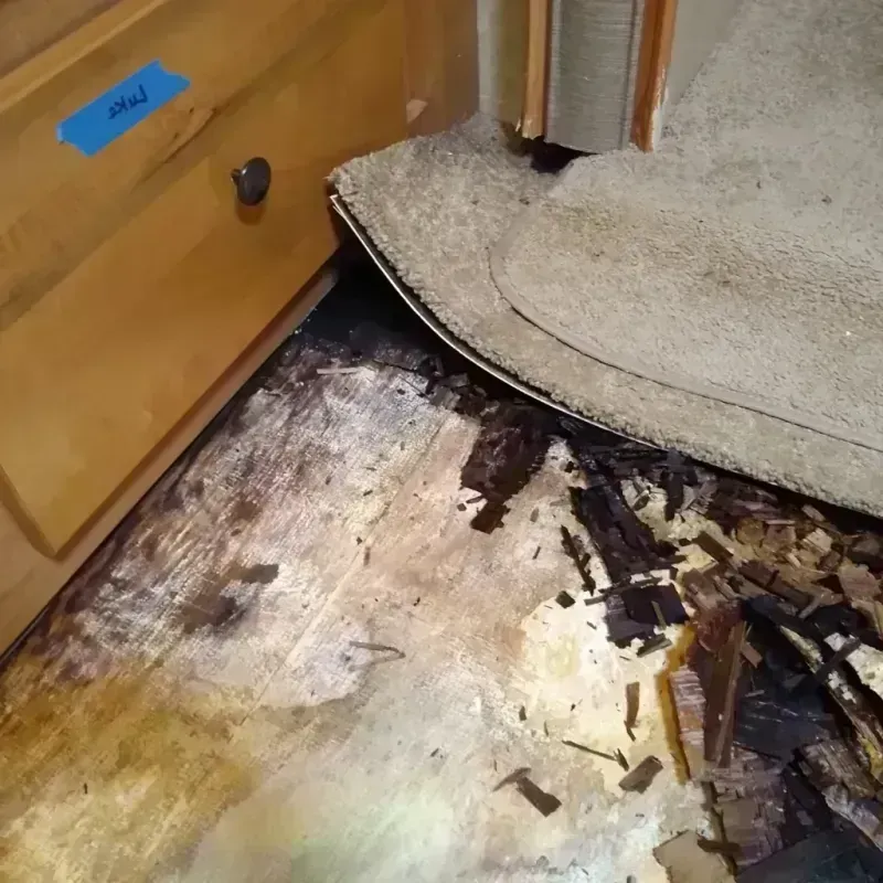 Wood Floor Water Damage in Clarksville, TX